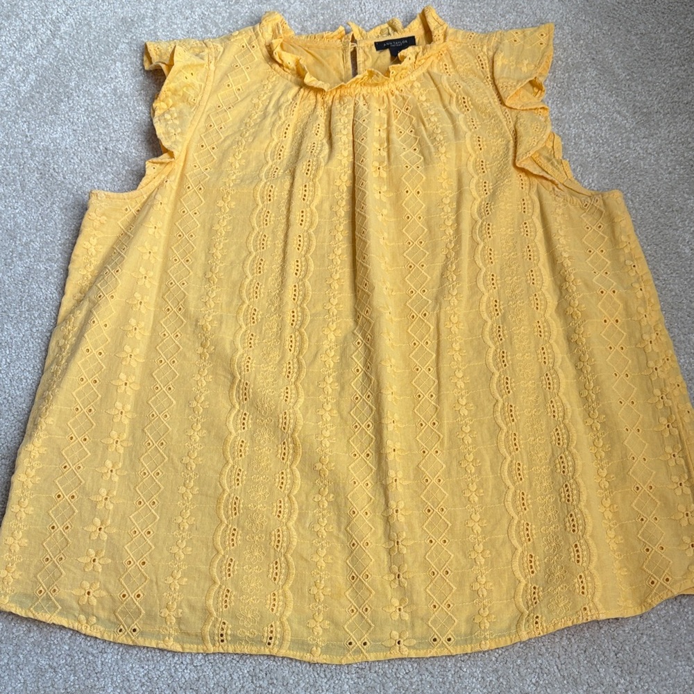 Ann Taylor Top